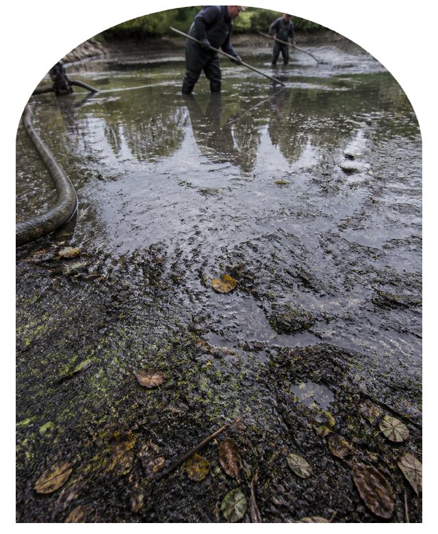 Очистка пруда в Мегионе от ила мусора и водорослей с вывозом